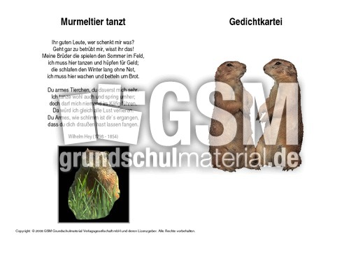Murmeltier-tanzt-Hey.pdf